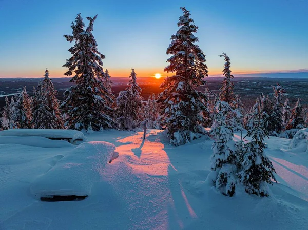 Мальовничий Вид Ліс Пишною Природою Взимку Вкритий Білим Снігом Заході — стокове фото