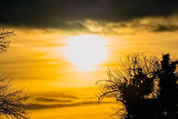 Hermosa Puesta Sol Nublado Con Color Mágico Árboles — Foto de Stock