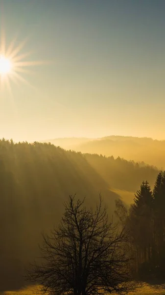Ein Goldener Sonnenaufgang Über Den Bäumen Und Bergen — Stockfoto