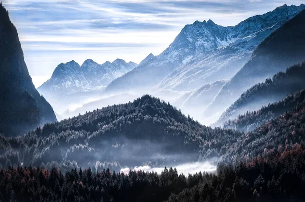 Вид Повітря Сніг Покритий Гірським Пейзажем Щільними Деревами — стокове фото