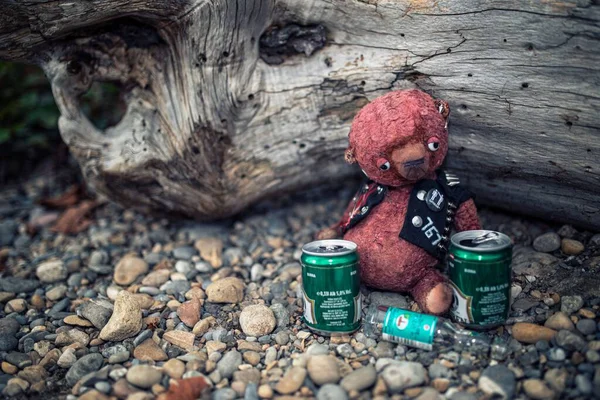 Closeup Toy Punk Teddy Beer Cans Ground — Stock Photo, Image