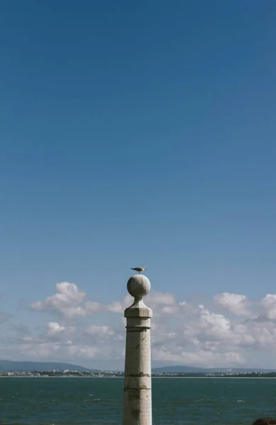 海岸の灯台の上に垂直な鳥のショット — ストック写真
