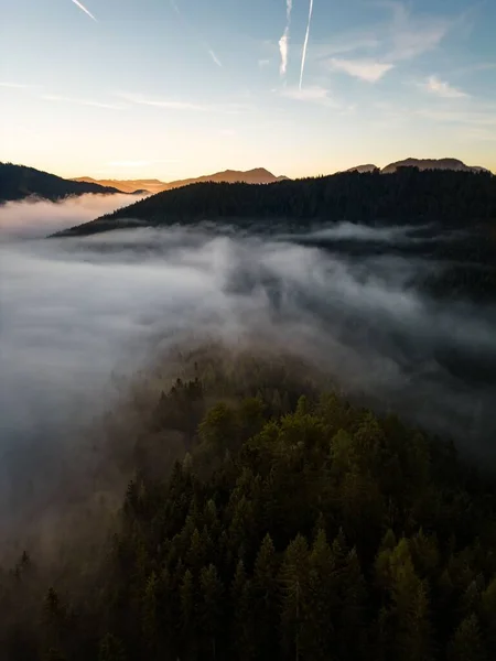 Plano Vertical Bosques Con Pinos Montañas Fondo Día Niebla Mariazell —  Fotos de Stock