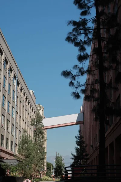 Вертикальный Снимок Двух Зданий Связанных Мостом — стоковое фото