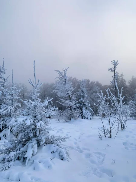 Μια Κάθετη Λήψη Ενός Χιονισμένου Τοπίου — Φωτογραφία Αρχείου