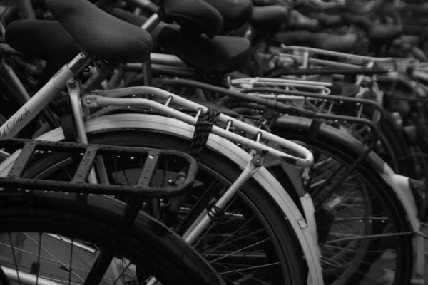자전거 뒷바퀴와 좌석의 — 스톡 사진