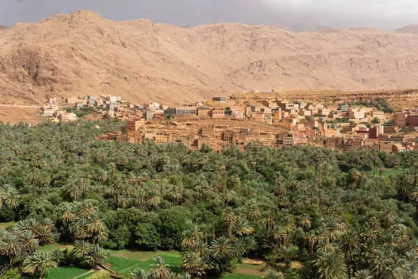 Staden Ouarzazate Marocko Saharaöknen Omgiven Gröna Träd Och Kullar — Stockfoto
