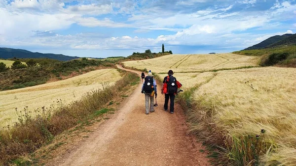 Los Excursionistas Caminando Por Sendero Valle — Foto de Stock