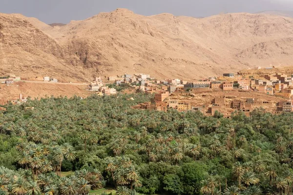 Ville Ouarzazate Maroc Dans Désert Sahara Entourée Arbres Verts Collines — Photo