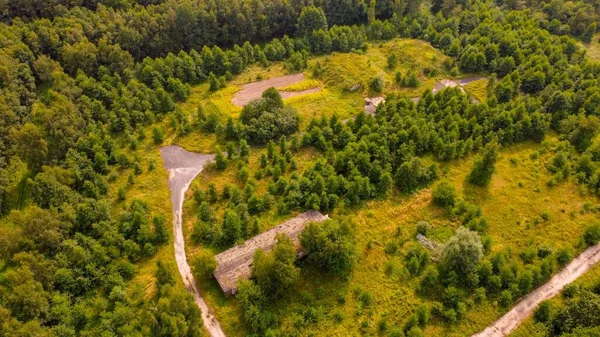 Воздушный Кадр Зеленого Леса — стоковое фото