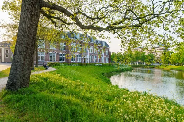 stock image A beautiful view of a green garden with a river in it and a building next to it