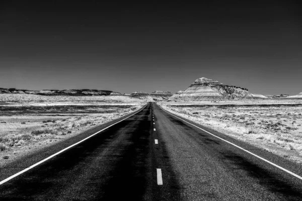 石化林内的一条沥青路面沙漠的黑白照片 — 图库照片