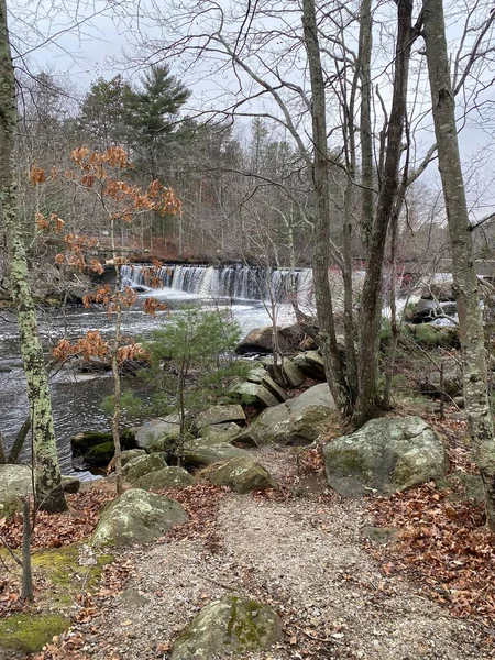 森の中の滝を滝のように垂直に流れる水の景色 — ストック写真