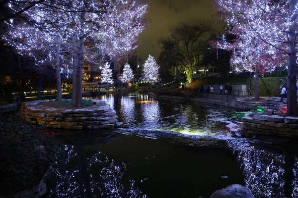 stock image A park with decorated trees at Christmas in the evening