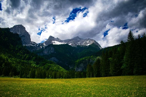 Csodálatos Alpesi Természet Friss Levegő — Stock Fotó
