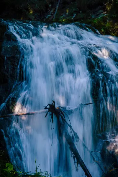 美しい森の中を流れる水の垂直閉鎖 — ストック写真