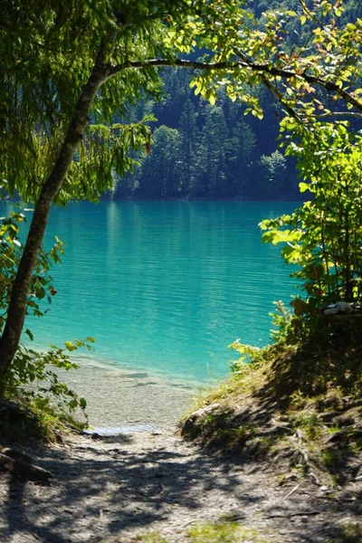 Scenic Vertical Shot Tranquil Walchensee Lake Surrounded Greenery Germany — Stock Photo, Image