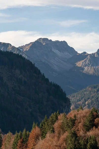 Воздушный Вид Крутые Скалистые Горы Красочными Деревьями Лесами Голубым Облачным — стоковое фото