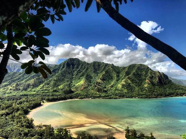 美丽的热带海岸线 绿树成荫的悬崖 — 图库照片