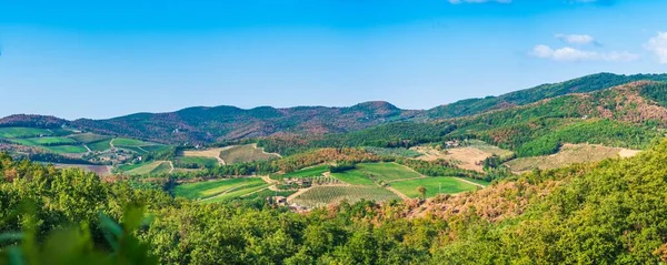 stock image A wide field with plants and trees landscape