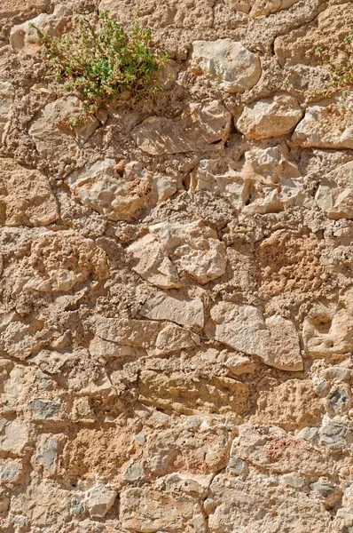 Stone Wall Texture Background Spain Provinze Valencia City Denia — Stock Photo, Image