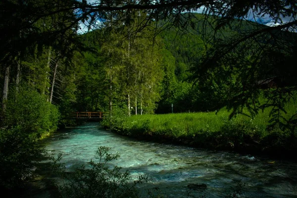 Ένας Χείμαρρος Ποταμός Που Ρέει Μέσα Από Πυκνό Δάσος — Φωτογραφία Αρχείου