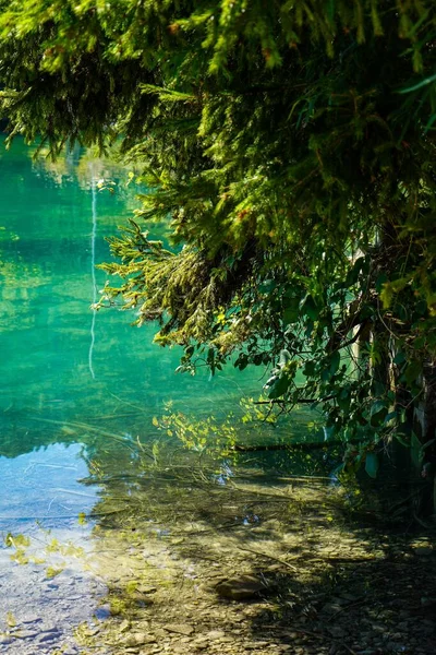 德国绿树环绕的宁静的沃尔琴斯湖的一个风景秀丽的垂直截图 — 图库照片