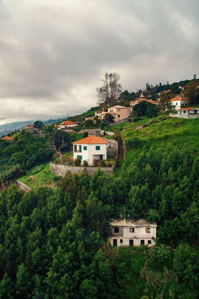 Yeşil Medeira Adası Koyundaki Güzel Binaların Dikey Görüntüsü — Stok fotoğraf