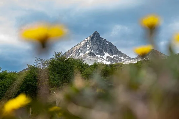 Carbajal Vadisinde Bir Dağ — Stok fotoğraf