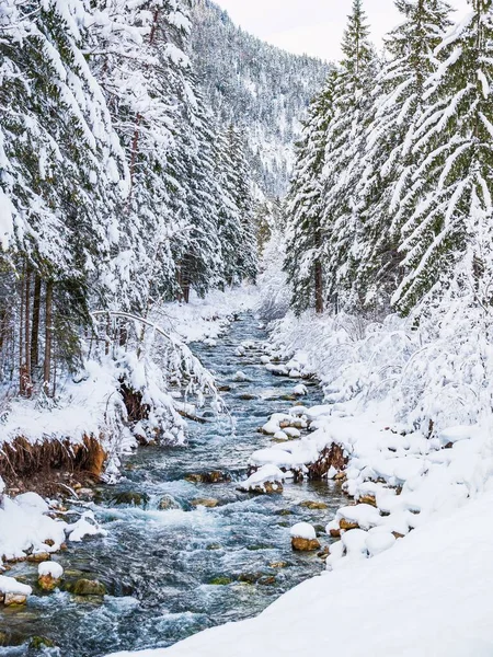 Una Vista Natural Río Bosque Invierno Bajo Cielo Blanco —  Fotos de Stock