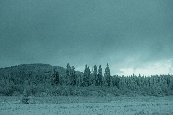 Een Winter Landschap Uitzicht Met Besneeuwde Bomen Bergen Bij Dageraad — Stockfoto