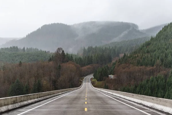 Пустая Дорога Вулканическом Памятнике Маунт Сент Хеленс Вашингтоне Сша — стоковое фото