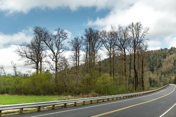 Een Dichtbij Shot Van Een Rijweg Omringd Door Groene Bomen — Stockfoto