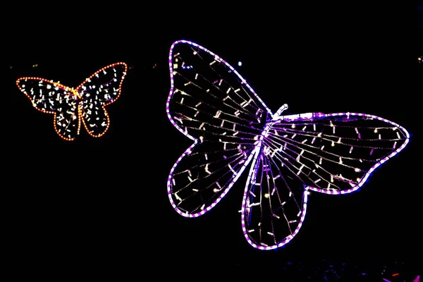 Ένα Κοντινό Πλάνο Πεταλούδες Φωτός Νύχτα — Φωτογραφία Αρχείου