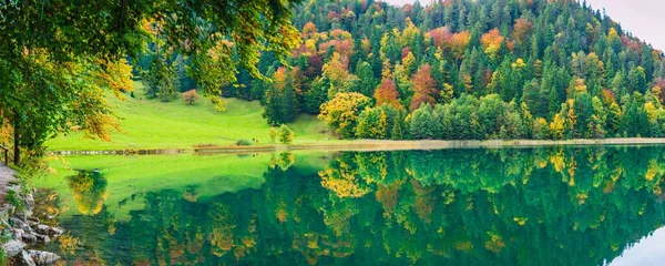 Lago Calmo Claro Com Reflexo Das Árvores Água — Fotografia de Stock