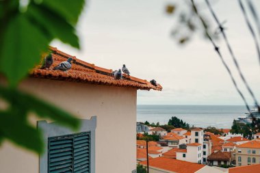 Madeira Adası 'ndaki eski kasaba, Portekiz.