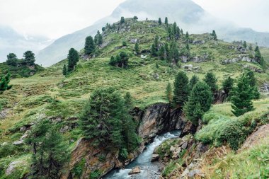 Yeşil ağaçların ve dağların arasından akan güzel bir nehir manzarası..