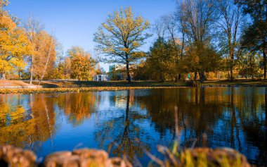 Parktaki bir gölün manzarası.