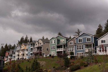 Paulsboro, Washington, ABD 'de bir banliyöde İskandinav tarzı evler.