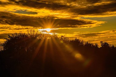 Ormanın ve ağaçların siluetlerinin üzerinde gökyüzünde parlayan altın gün batımı