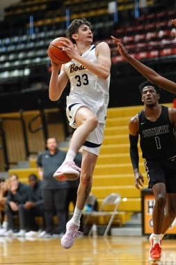 Bir basketbolcunun Hammond, ABD 'de oynanan maçta basket atışının dikey çekimi..