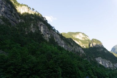 Güneşli mavi gökyüzünün altında yeşil ağaçlarla kaplı büyük kayalık dağların alçak açılı bir görüntüsü.