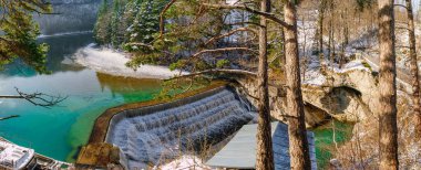 Güneşli bir günde ağaçlarla çevrili bir nehir barajı.