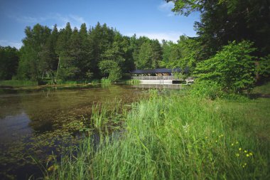 Ontario, Kanada 'da güneşli bir günde ormanın kenarında güzel bir nehir görüntüsü.