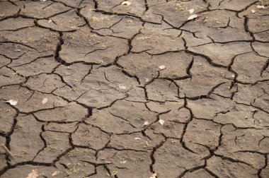 Kurumuş bir çatlak çamurlu zemin
