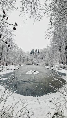 Karlı bir ormanda ağaçlarla çevrili donmuş bir gölün dikey görüntüsü.