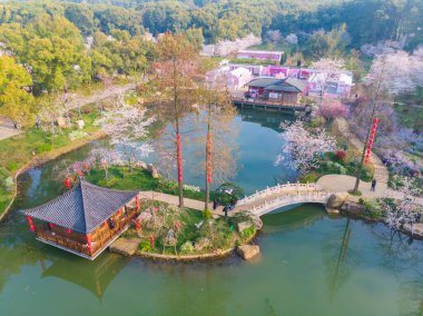 Doğu Gölü Kiraz Çiçeği Parkı (Wuhan Moshan Moshan Kiraz Çiçeği Parkı olarak da bilinir) Wuchang Bölgesi 'nin doğu gölü bölgesinde bir parktır.