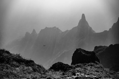 Gri tonda sisli bir günde kayalık dağların üzerinden uçan bir kuşun manzarası.