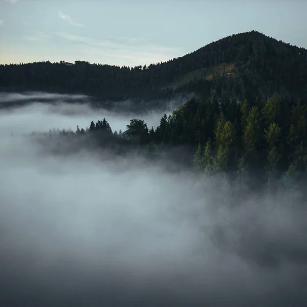 Naturskön Utsikt Över Skogar Och Berg Dimmig Dag Mariazell Österrike — Stockfoto