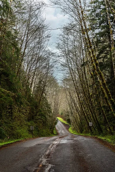 Tiro Vertical Uma Estrada Atravessando Árvores Verdes Parque Nacional Olímpico — Fotografia de Stock